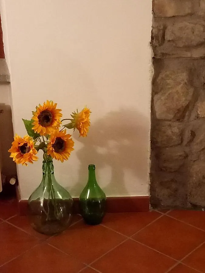 Mia Casa In Verrucola Fivizzano Holiday home